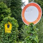 Seeadler und Waldohreule kennzeichnen Naturschutzgebiete