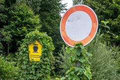 Seeadler und Waldohreule kennzeichnen Naturschutzgebiete