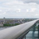 Seeadler Victor auf dem Lanxess Tower in Köln