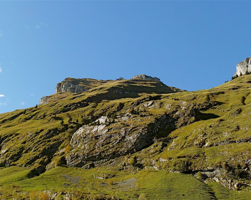 Seealp mit Sicht zum Schäfler