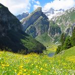 Seealp und Säntis