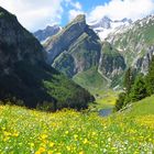 Seealp und Säntis