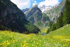 Seealp und Säntis