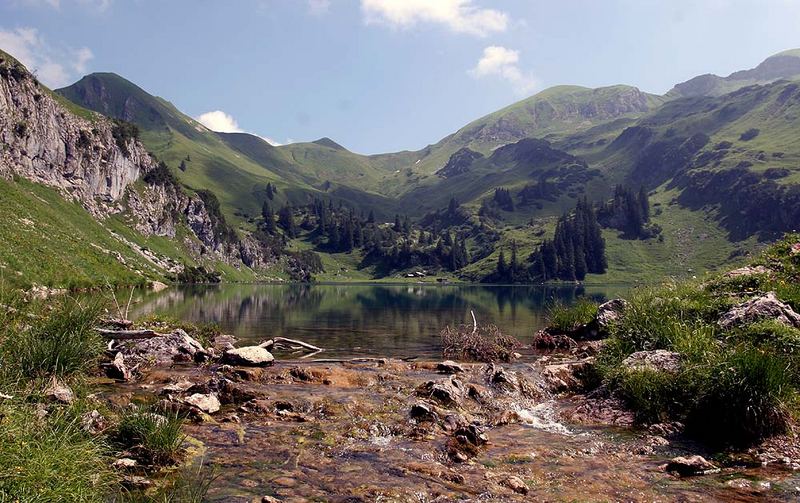 Seealpe im Allgäu