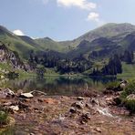 Seealpe im Allgäu