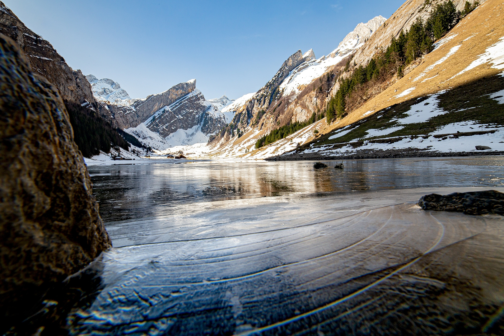 seealpsee 2017