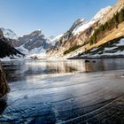 seealpsee 2017