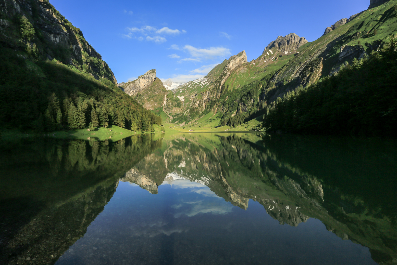 Seealpsee (5)