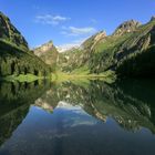 Seealpsee (5)