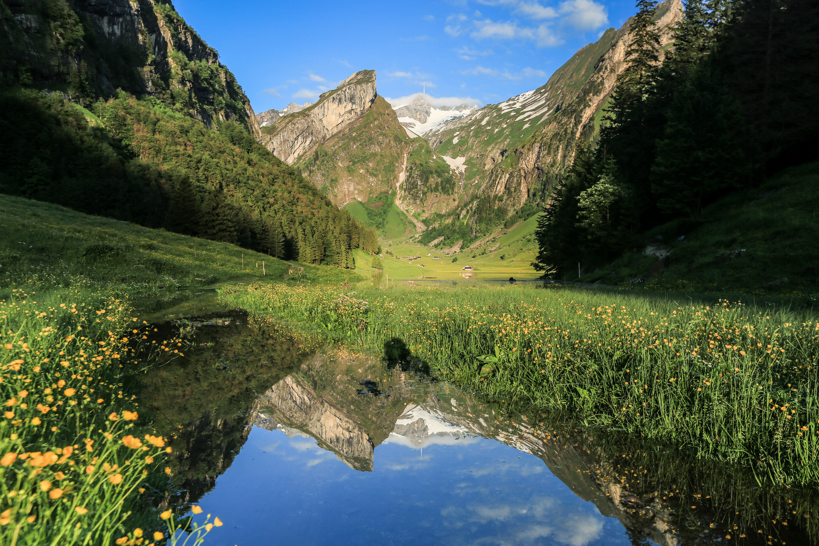 Seealpsee (7)