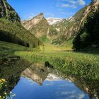 Seealpsee (7)