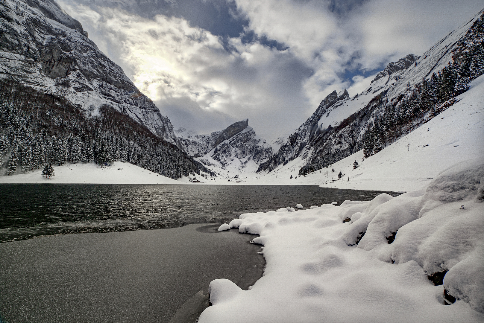 SeeAlpSee