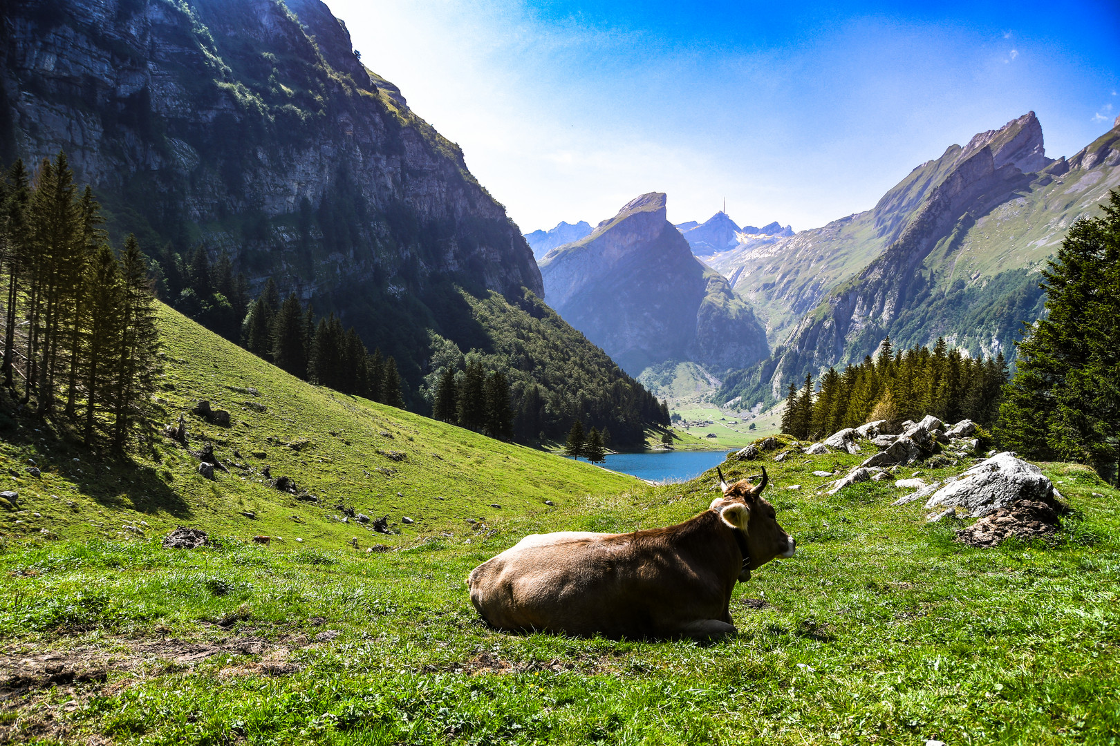 Seealpsee