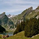 Seealpsee