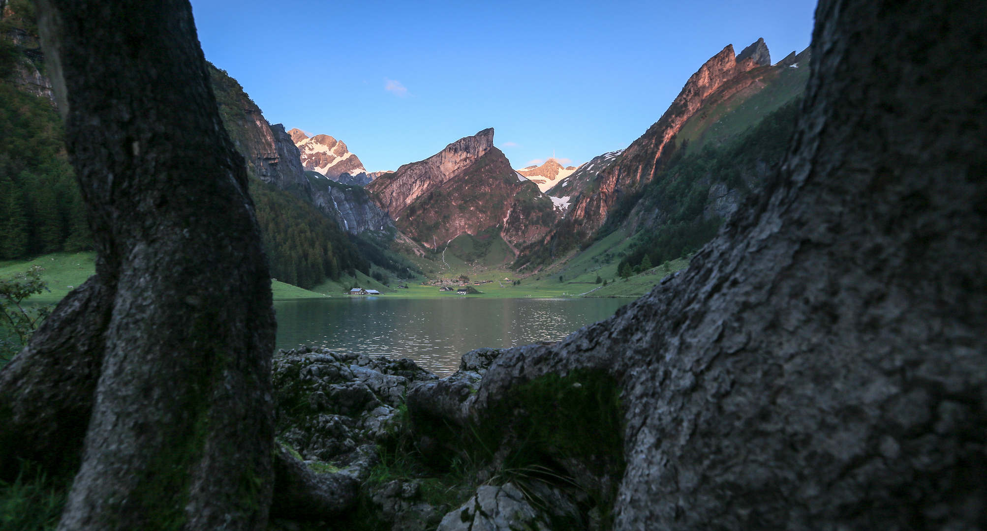 Seealpsee (9)