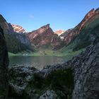 Seealpsee (9)