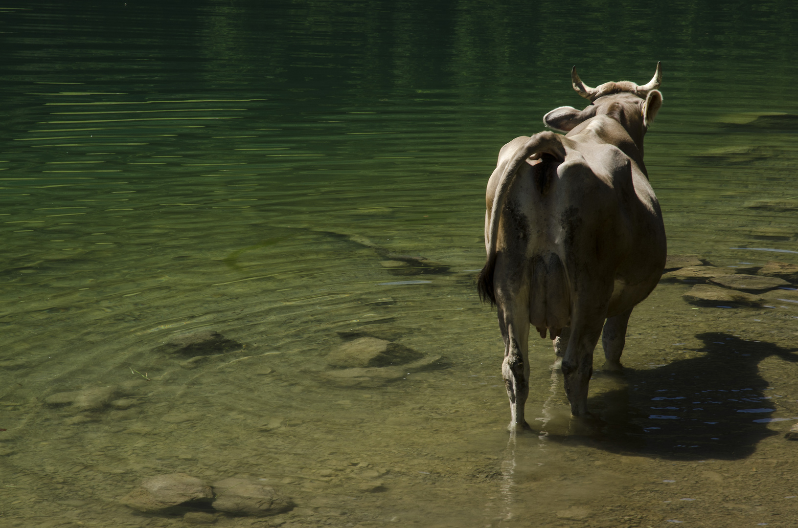 Seealpsee