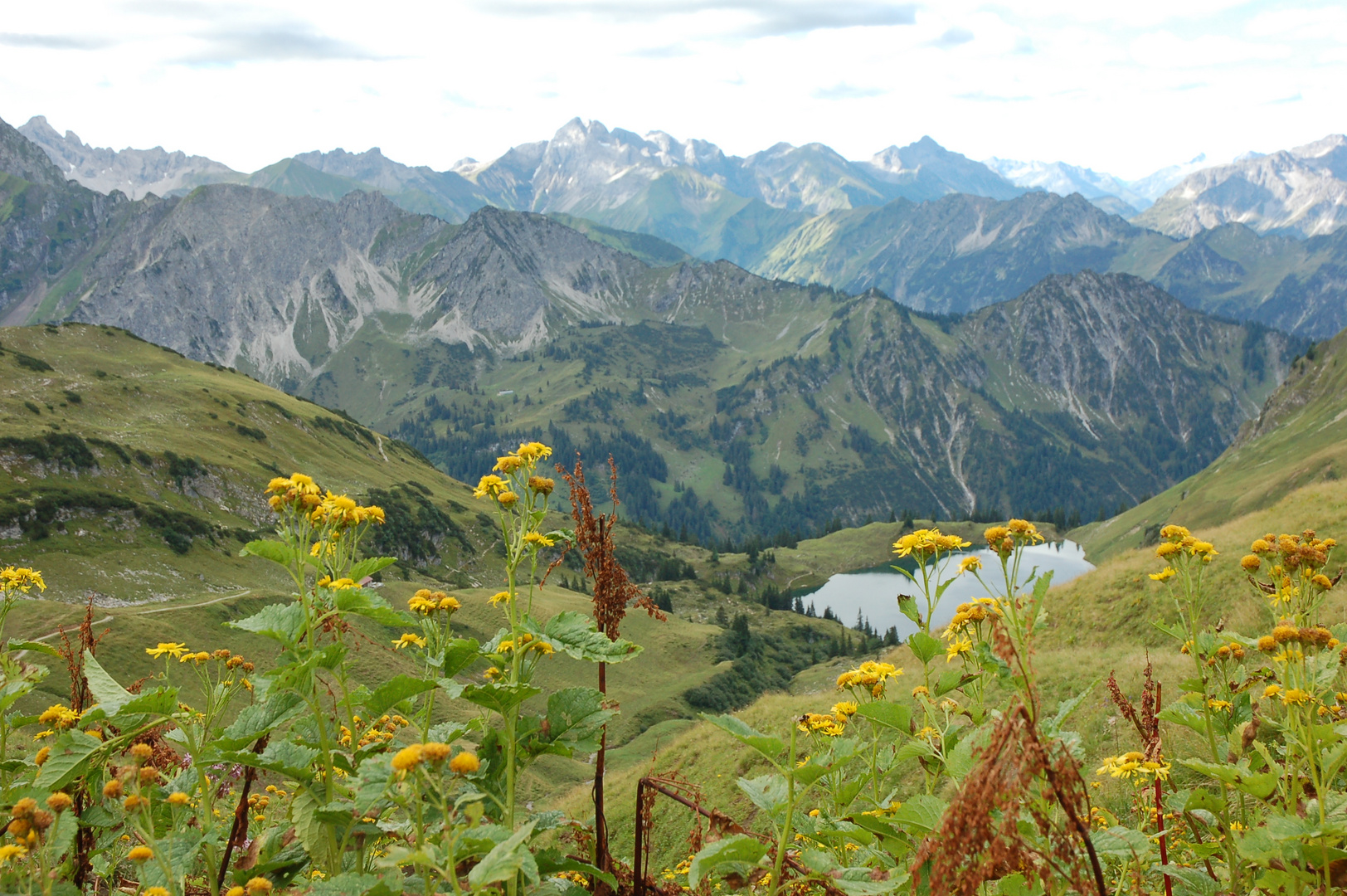 seealpsee