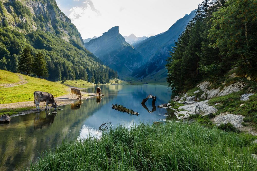 Seealpsee