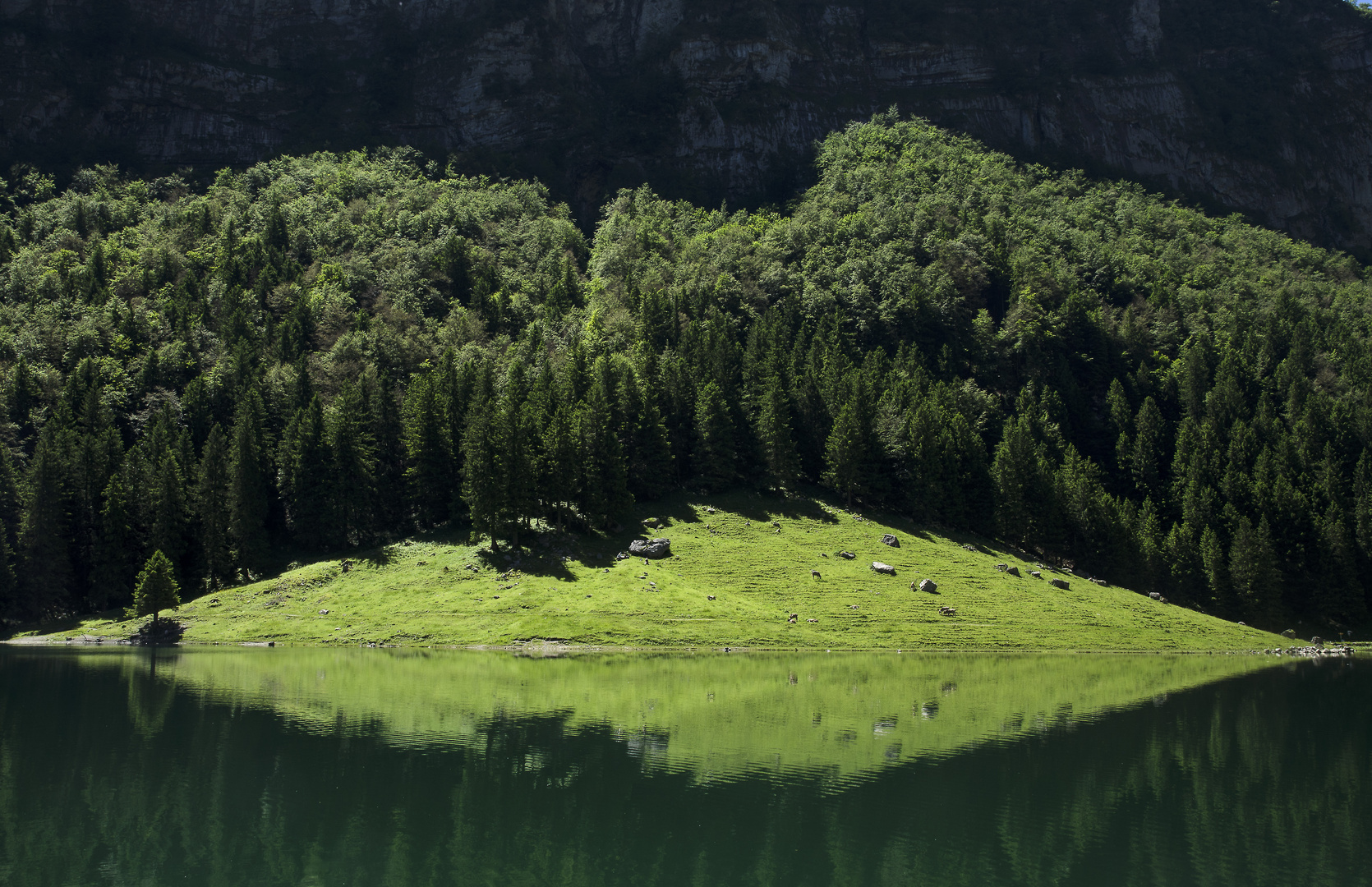 Seealpsee