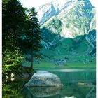 [_seealpsee_]