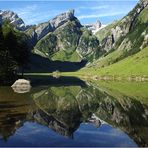 [ SEEALPSEE EESPLAEES ]