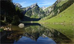 [ SEEALPSEE EESPLAEES ]