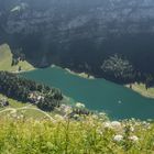 Seealpsee