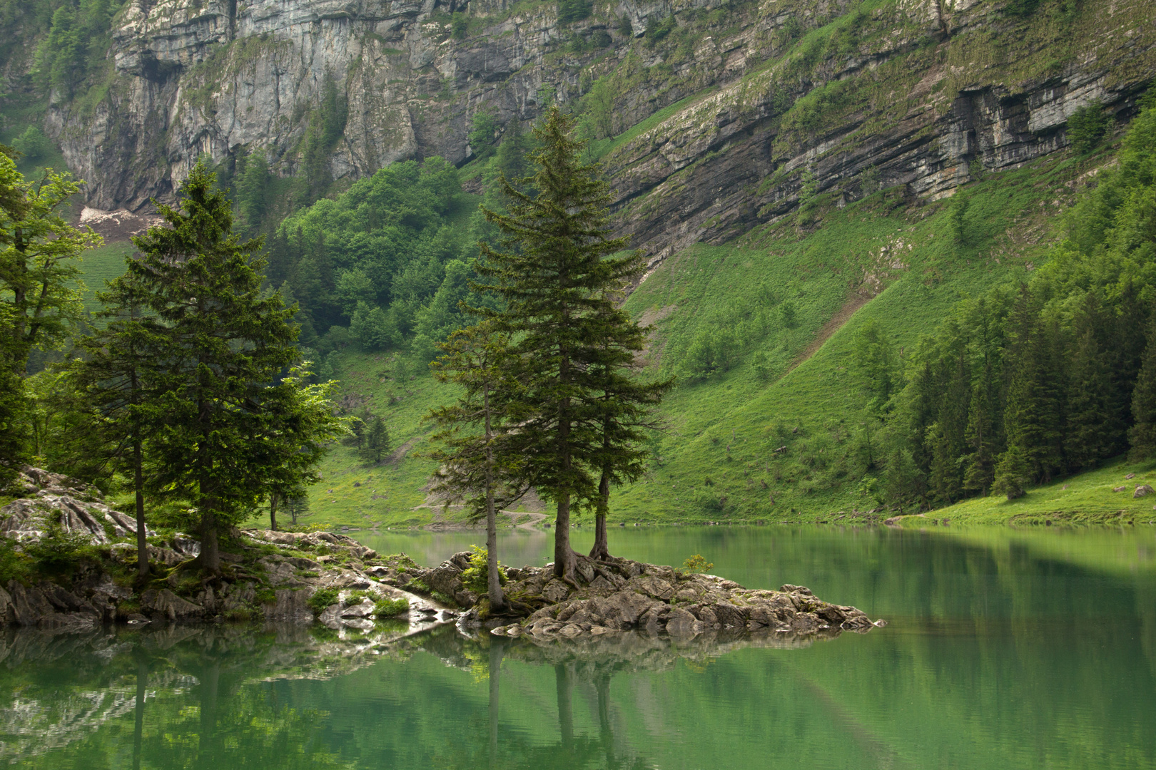 Seealpsee I