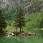 Seealpsee I