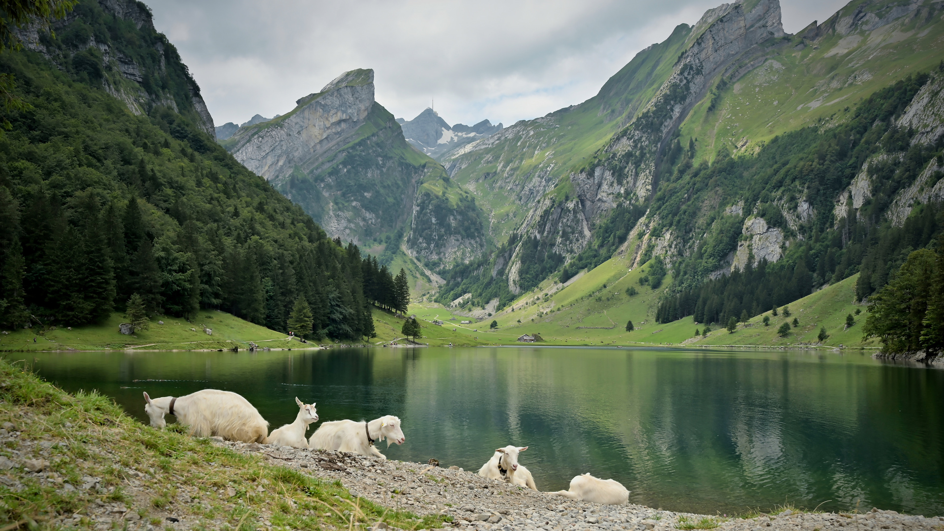 Seealpsee II