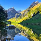 Seealpsee – Im Bann des Säntis