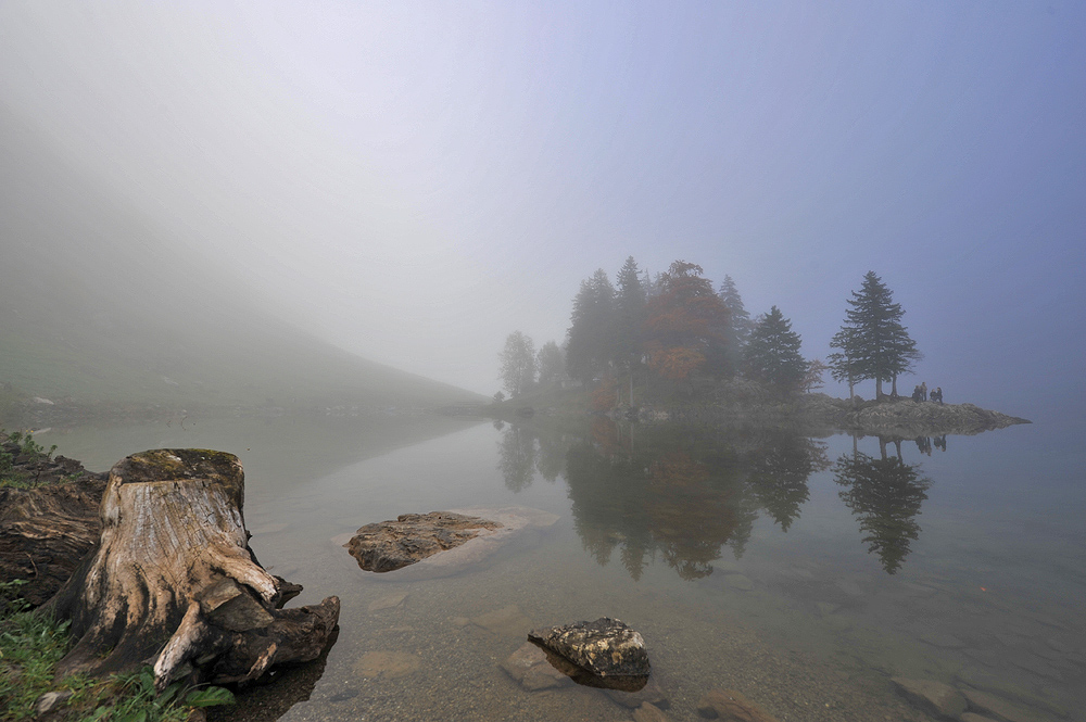 Seealpsee im Nebel