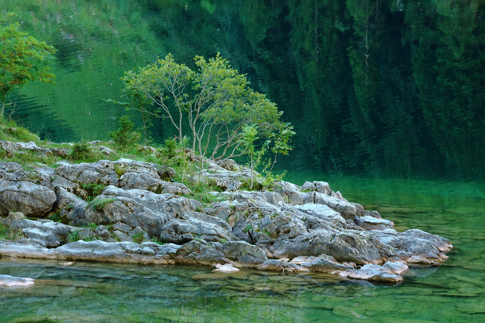 Seealpsee-Impression