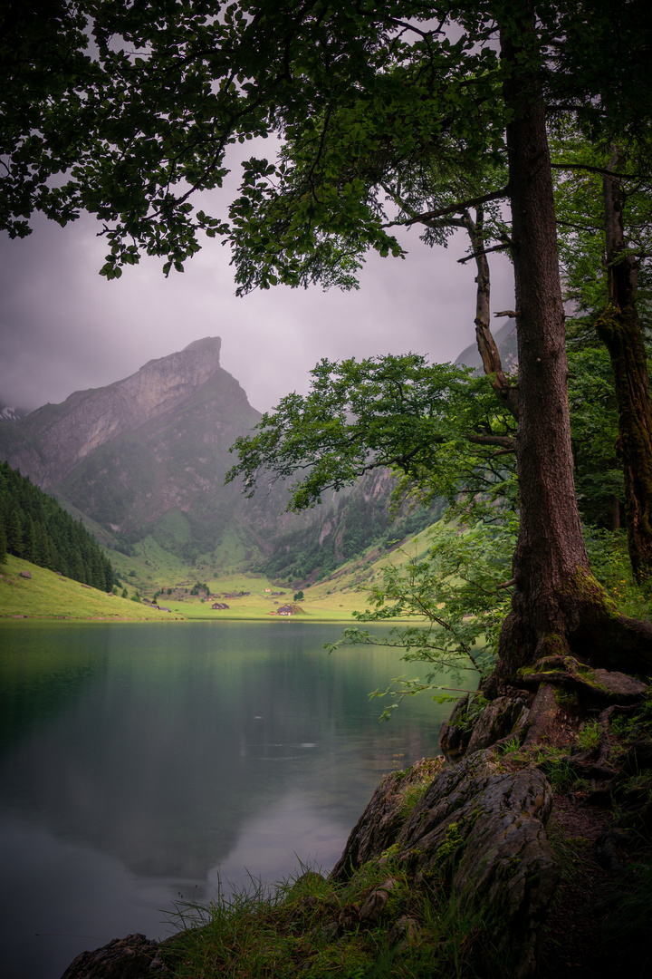 Seealpsee mal anders