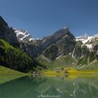 Seealpsee, Schweiz