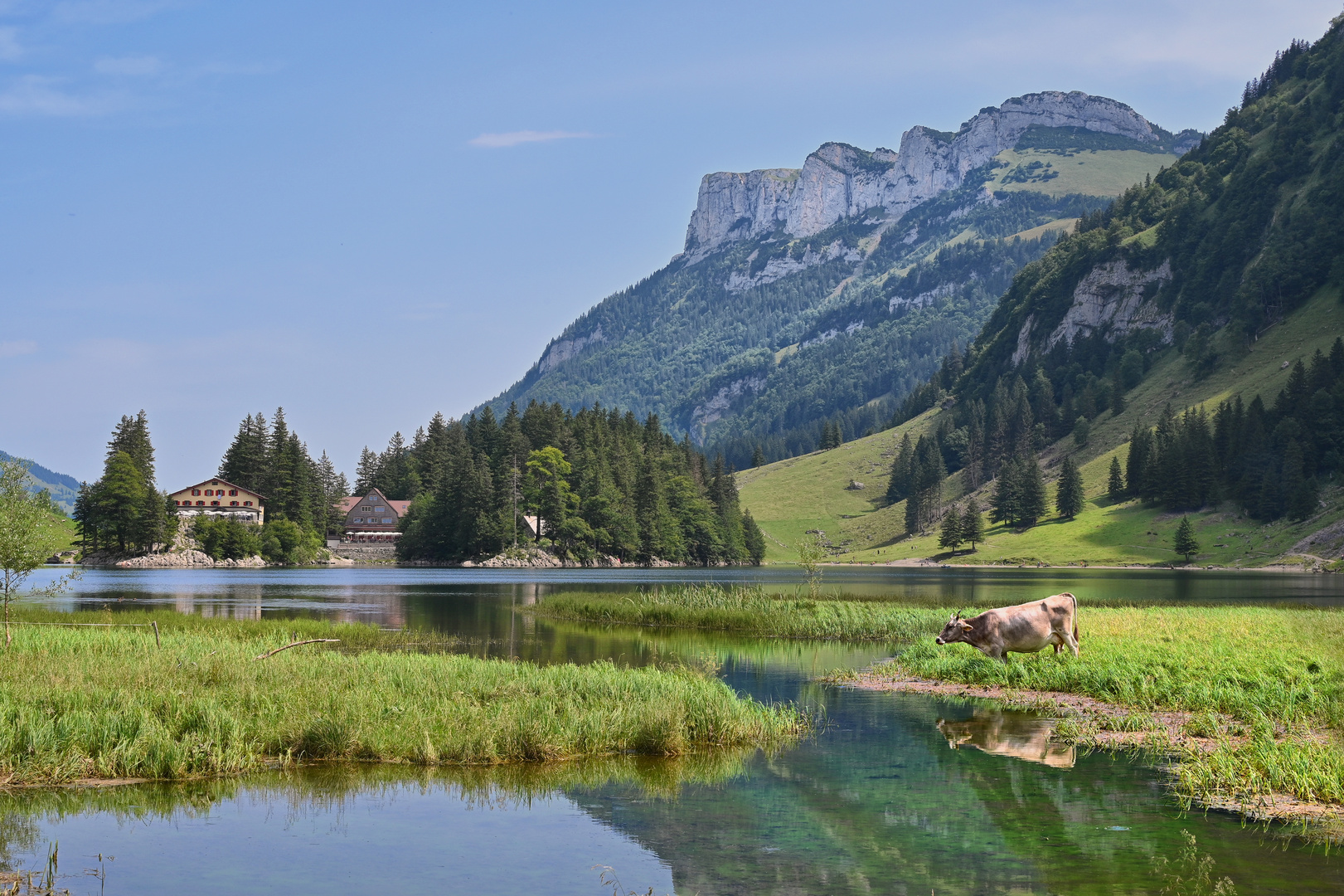 Seealpsee Stimmung