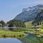 Seealpsee Stimmung