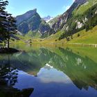 Seealpsee_1 verkl