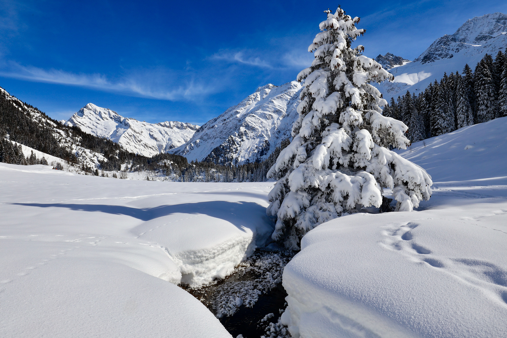 Seebach , Golzern