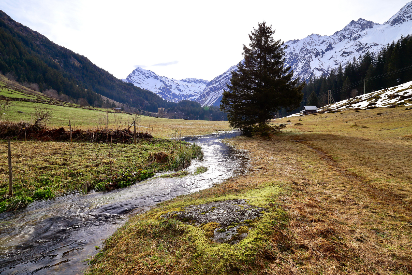 Seebach , Golzern