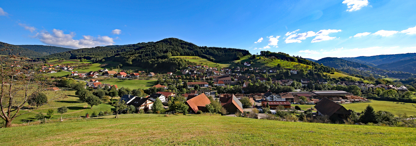 Seebach im Achertal