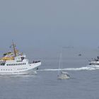 Seebäderschiffe auf dem Weg von der Nordseeinsel Helgoland zum Festland