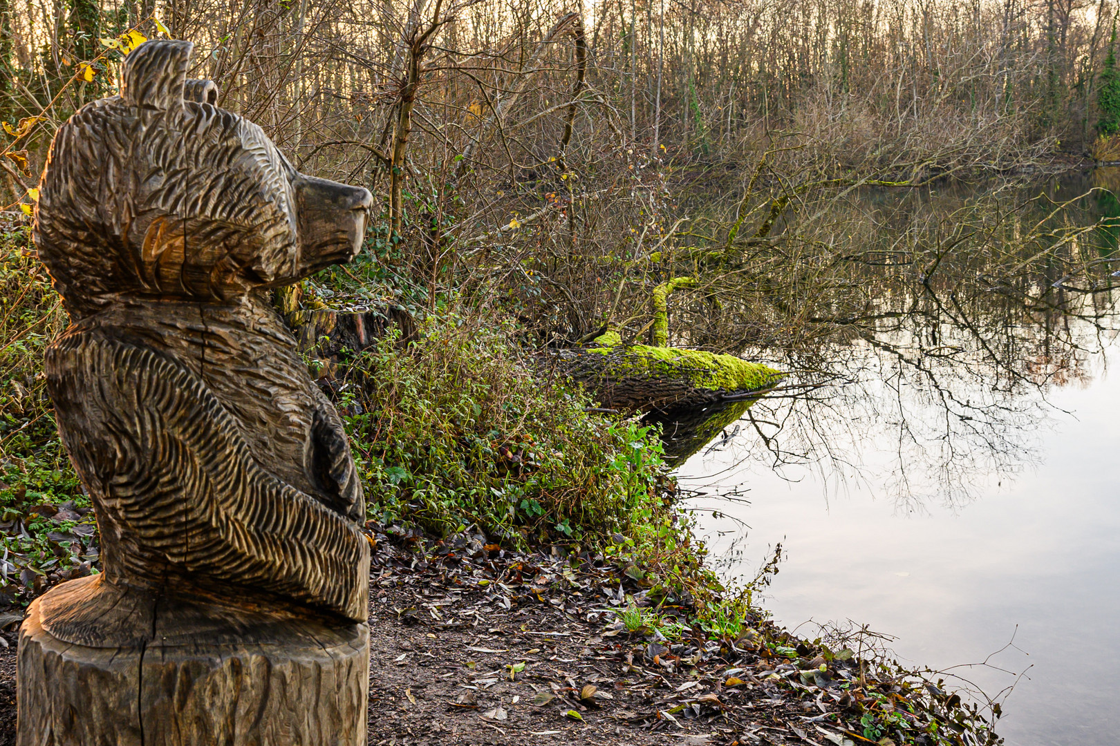 Seebär im Binnenland