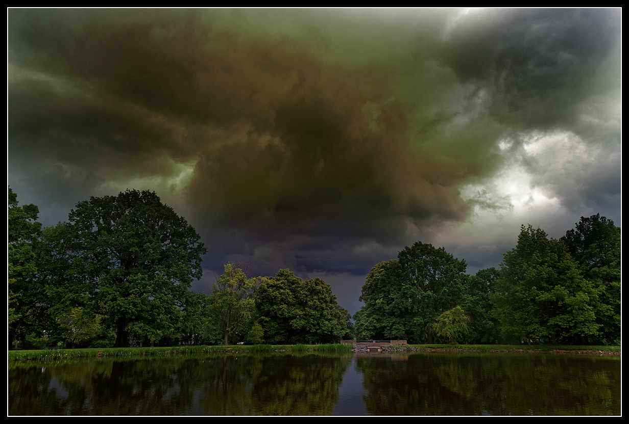 Seebäume mit Wolken