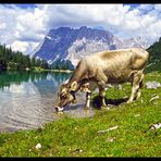 Seebensee in Tirol mit Blick auf das Wettersteingebirge