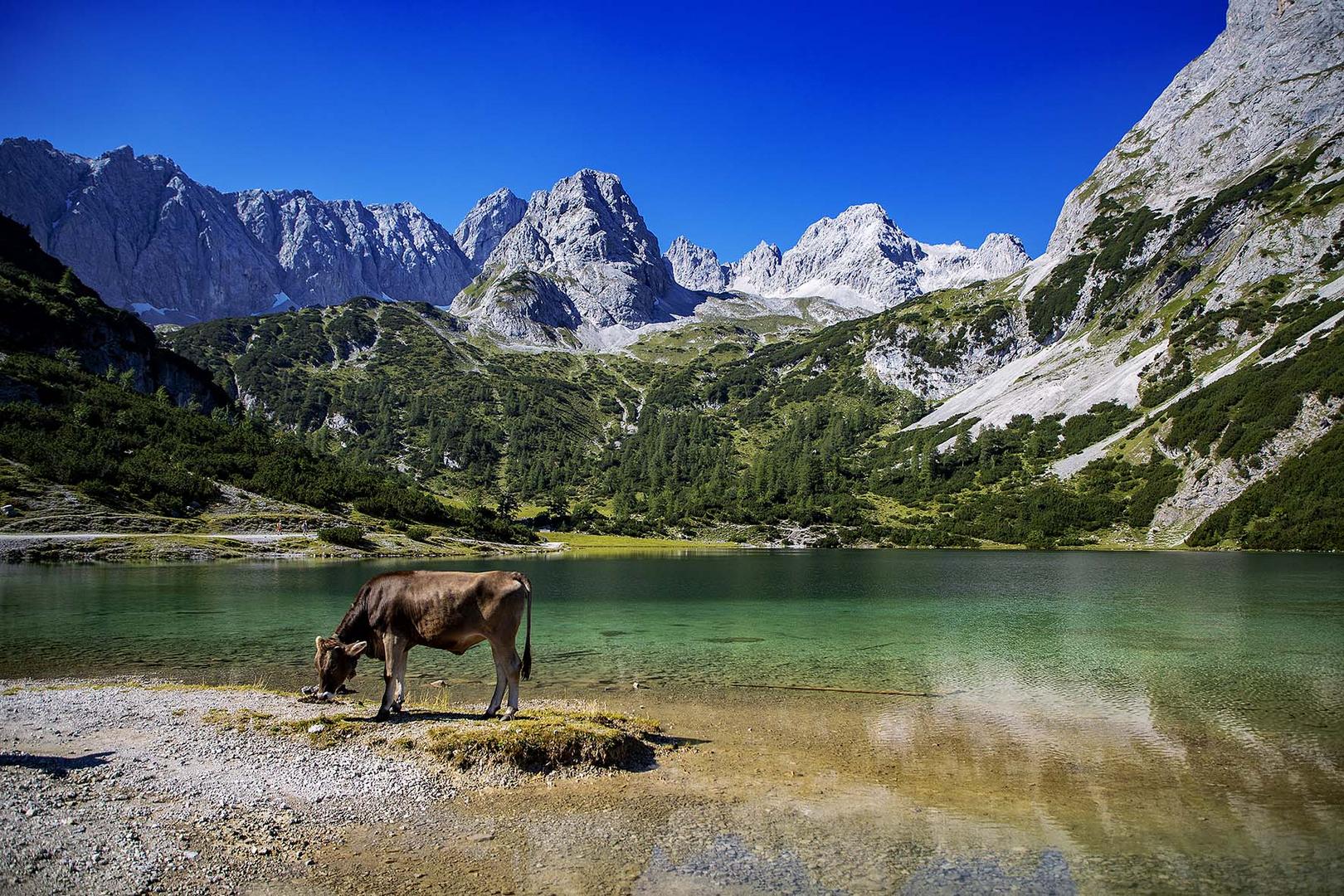 Seebensee / Natur