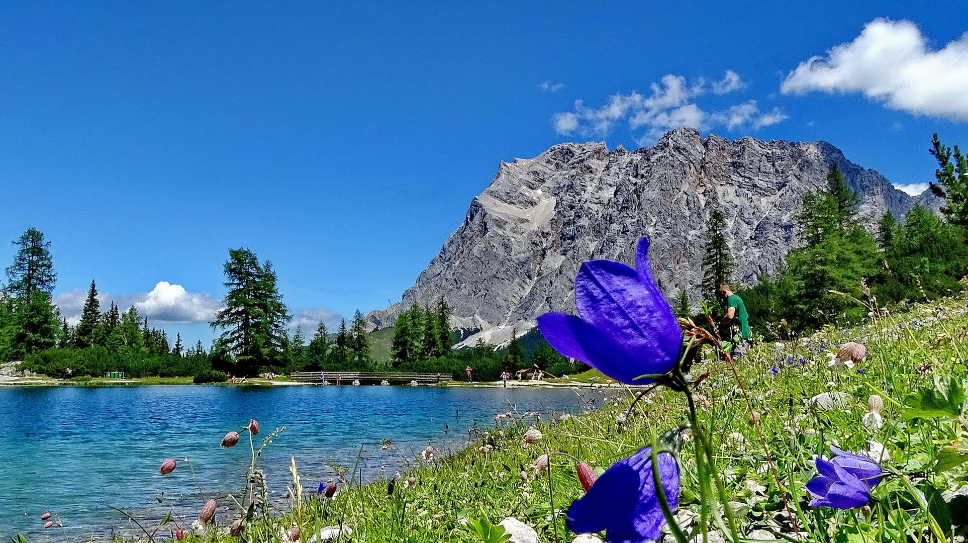 Seebensee  und der Zugspitze