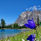 Seebensee  und der Zugspitze