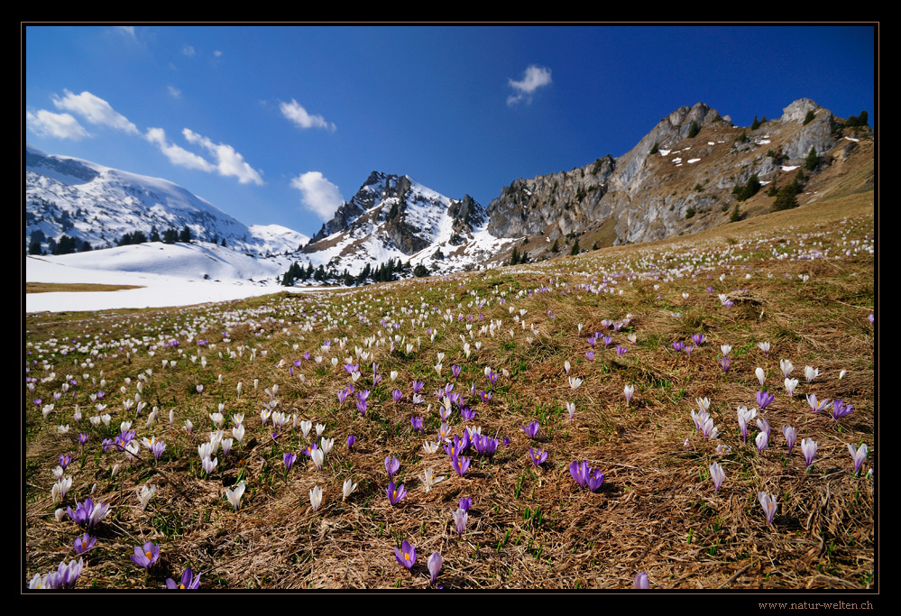 Seebergsee